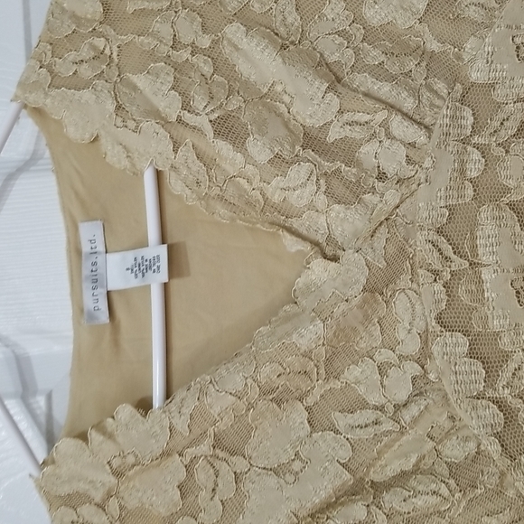 Pursuits Ltd. Lace Overlaid Blouse - Picture 3 of 7